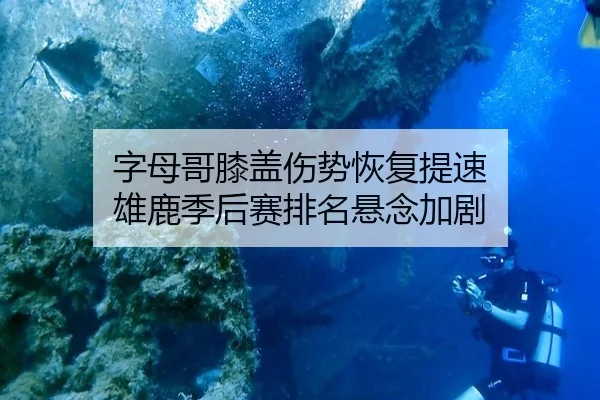 zi-mu-ge-xi-gai-shang-shi-hui-fu-ti-su-xiong-lu-ji-hou-sai-pai-ming-xuan-nian-jia-ju-1-379.jpg