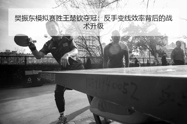 fan-zhen-dong-mo-ni-sai-sheng-wang-chu-qin-duo-guan-fan-shou-bian-xian-xiao-lv-bei-hou-de-zhan-shu-sheng-ji-2-227.jpg